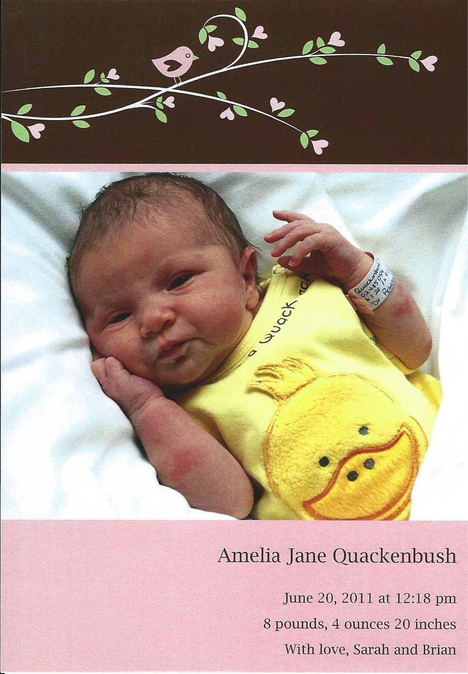 Amelia Jane Quakenbush
